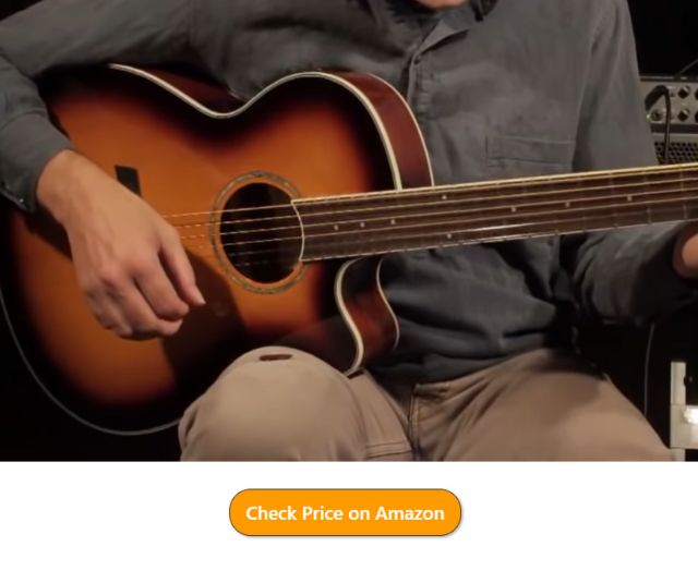 Ibanez AEG 10 II