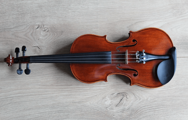 Violin