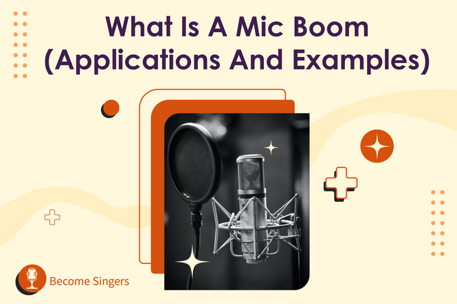 What is a Boom Mic